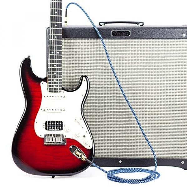 Rig Ninja Guitar Cable - Premium Musical Instruments Cable, Electric Guitar &amp; Bass Guitar Cord - 10ft Recording Studio Quality Guitars &amp; Bass Amp Cord, Heavy Duty Guitar Cords for Guitar Amps #5 image