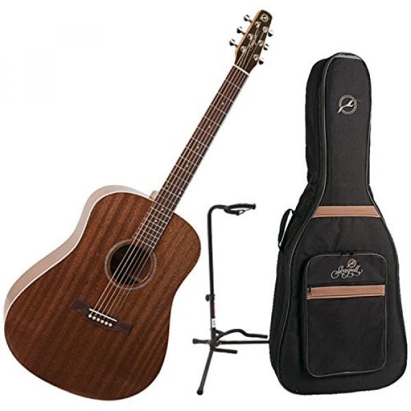 Godin Guitars 038916 - BUNDLE Acoustic-Electric Guitar #1 image