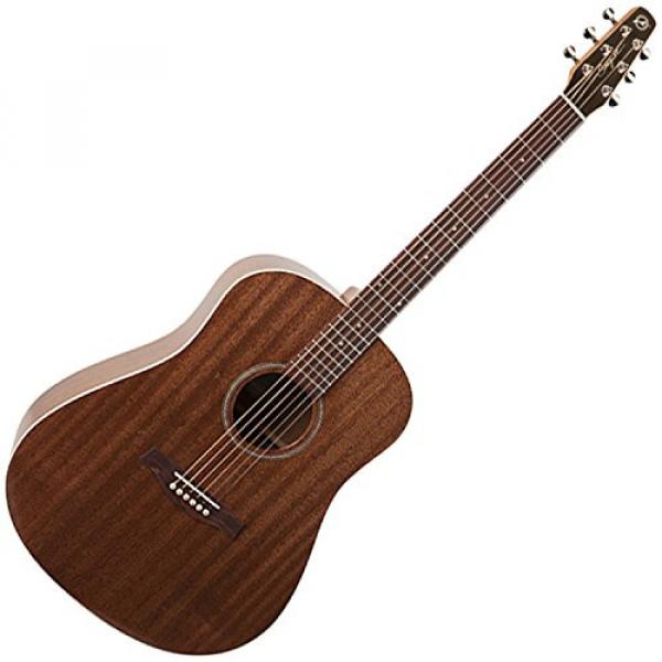 Godin Guitars 038916 - BUNDLE Acoustic-Electric Guitar #2 image