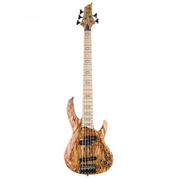 ESP LTD RB-1005SM NAT Spalted Maple  5 String Electric Bass #1 image