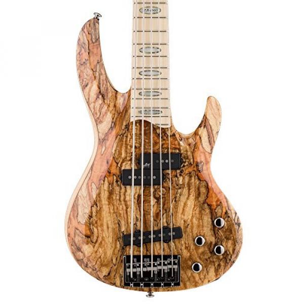ESP LTD RB-1005SM NAT Spalted Maple  5 String Electric Bass #3 image