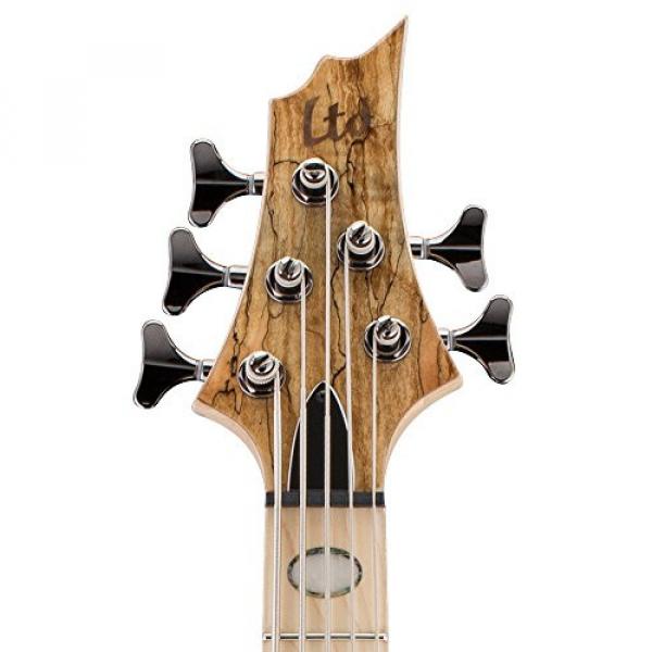 ESP LTD RB-1005SM NAT Spalted Maple  5 String Electric Bass #4 image
