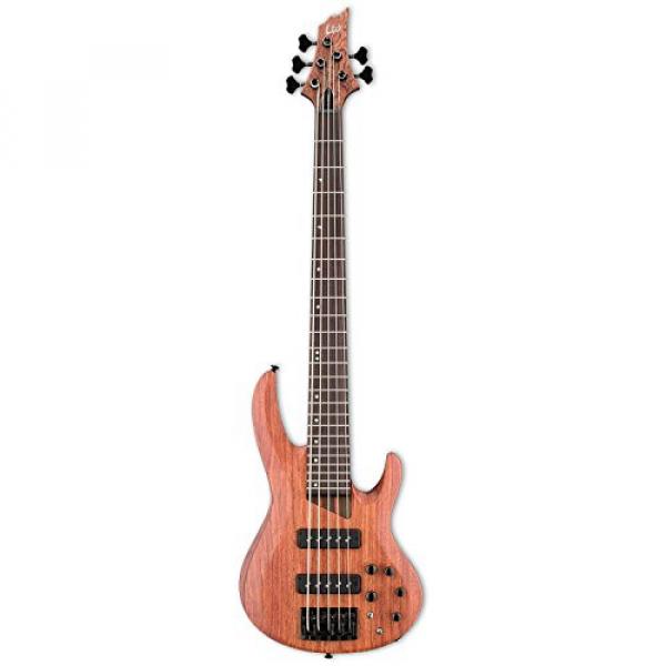 ESP LB1005SEBNS-KIT-1 B Series B-1005SE 5-String Electric Bass Guitar, Natural Satin #2 image