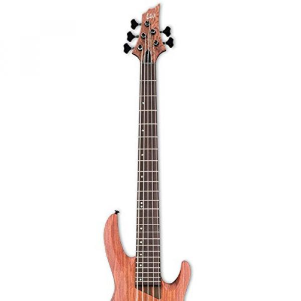 ESP LB1005SEBNS-KIT-1 B Series B-1005SE 5-String Electric Bass Guitar, Natural Satin #4 image