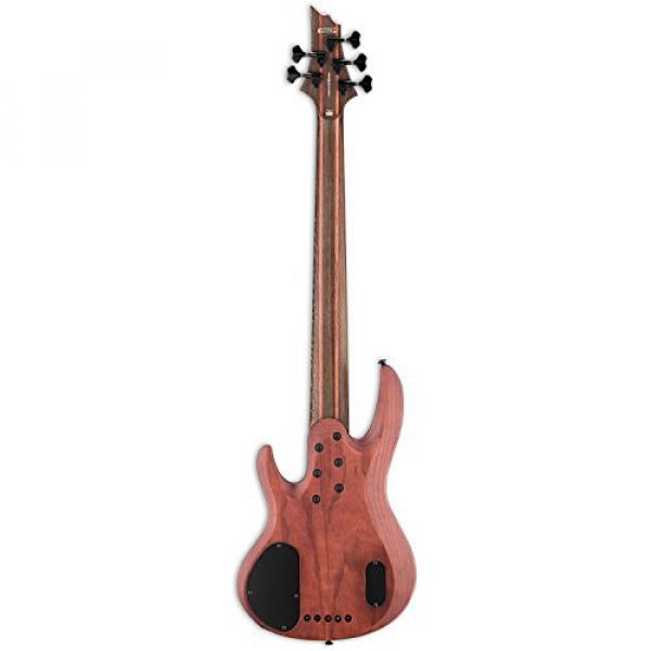 ESP LB1005SEBNS-KIT-1 B Series B-1005SE 5-String Electric Bass Guitar, Natural Satin #5 image
