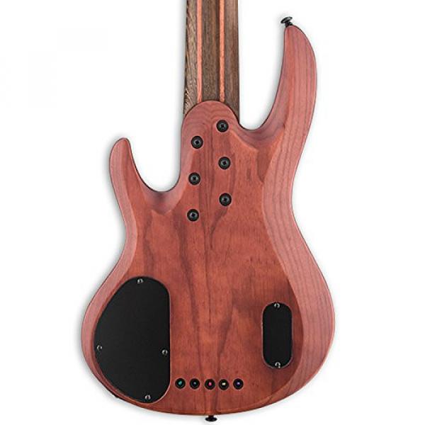 ESP LB1005SEBNS-KIT-1 B Series B-1005SE 5-String Electric Bass Guitar, Natural Satin #6 image