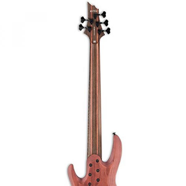 ESP LB1005SEBNS-KIT-1 B Series B-1005SE 5-String Electric Bass Guitar, Natural Satin #7 image