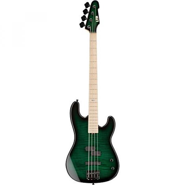 ESP LMM4FMDSTGSB Bass Guitar, Dark See Thru Green Sunburst #3 image