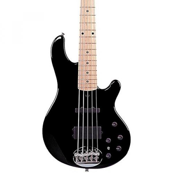 Lakland Skyline 55-02 5-String Bass Black Maple Fretboard #1 image