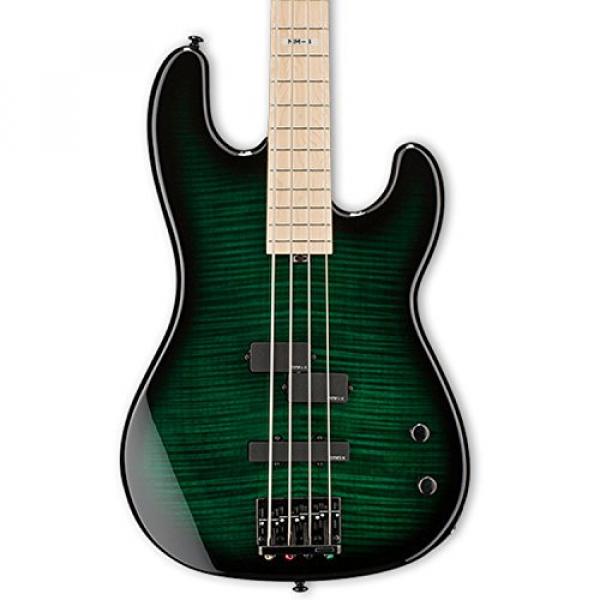 ESP LMM4FMDSTGSB-KIT-1 Marco Mendoza Signature Series 4-String Electric Bass, Dark See Thru Green Sunburst #2 image