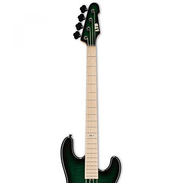 ESP LMM4FMDSTGSB-KIT-1 Marco Mendoza Signature Series 4-String Electric Bass, Dark See Thru Green Sunburst #3 image