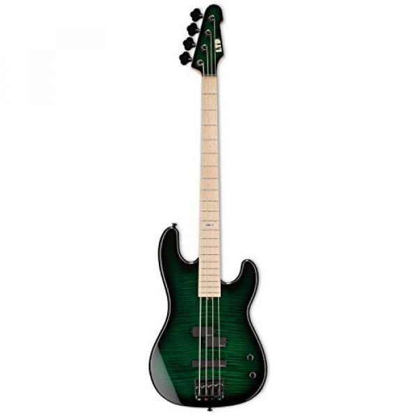 ESP LMM4FMDSTGSB-KIT-1 Marco Mendoza Signature Series 4-String Electric Bass, Dark See Thru Green Sunburst #4 image