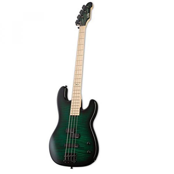ESP LMM4FMDSTGSB-KIT-1 Marco Mendoza Signature Series 4-String Electric Bass, Dark See Thru Green Sunburst #5 image