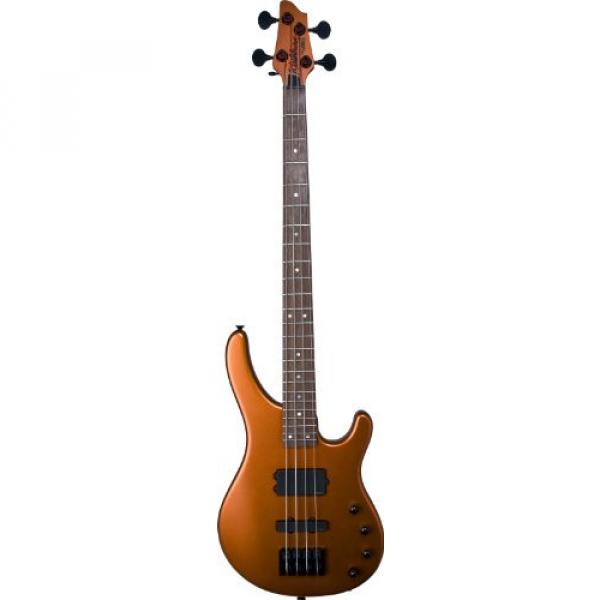 Washburn Signature Series Stu Hamm (USA) SHBH3TNG Electric Bass, The Hammer, Matte Tangerine #1 image