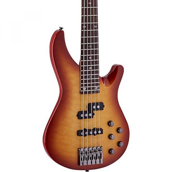 Mitchell MB305 5-String Modern Rock Bass with Active EQ Honey Burst #5 image