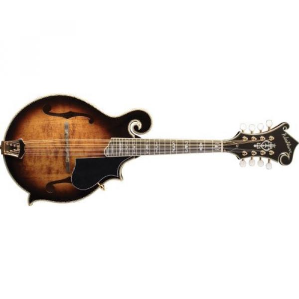 Washburn  M6SWK Florentine Cutaway Mandolin (Maple) #1 image