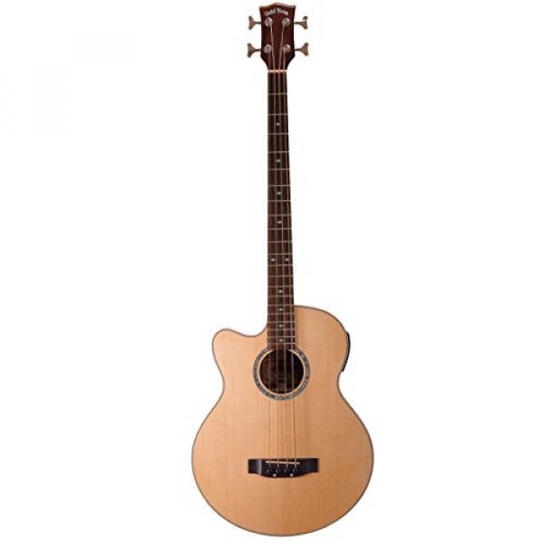Gold Tone ABG-4/L Acoustic Bass Guitar, Lefty #1 image