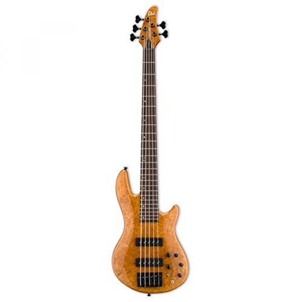 ESP LH1005SEBMHN-KIT-2 H Series 5-String Solid Burled Maple Top Electric Bass with Hard Case, Honey Natural #2 image
