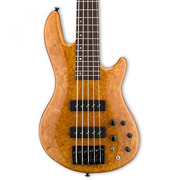 ESP LH1005SEBMHN-KIT-2 H Series 5-String Solid Burled Maple Top Electric Bass with Hard Case, Honey Natural #3 image