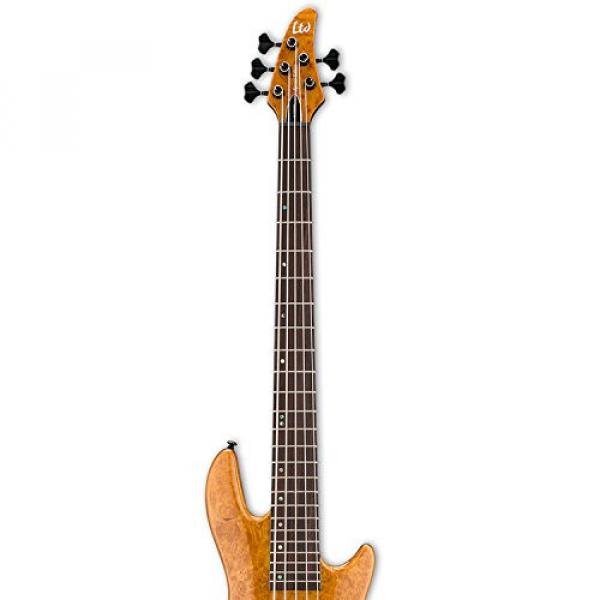 ESP LH1005SEBMHN-KIT-2 H Series 5-String Solid Burled Maple Top Electric Bass with Hard Case, Honey Natural #4 image
