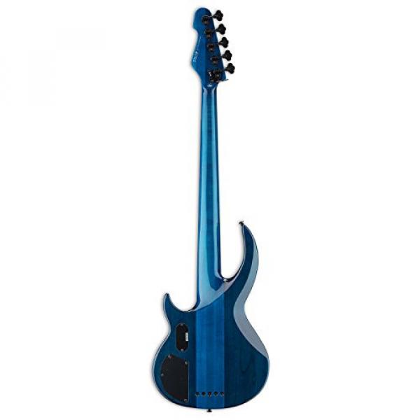 ESP LBB1005QMBLKAQ-KIT-1 Bunny Brunel Signature Series BB-1005 QM 5-String Electric Bass, Black Aqua #7 image
