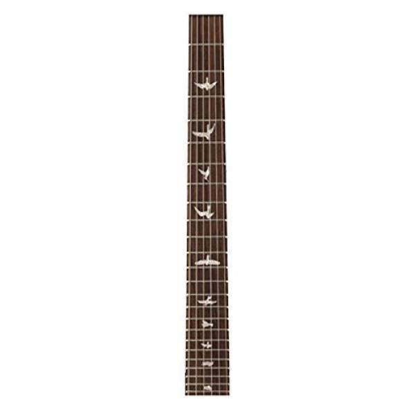 PRS V2PB05_EC S2 Vela Electric Guitar, Egyptian Gold Metallic with Bird Inlays &amp; Gig Bag #2 image