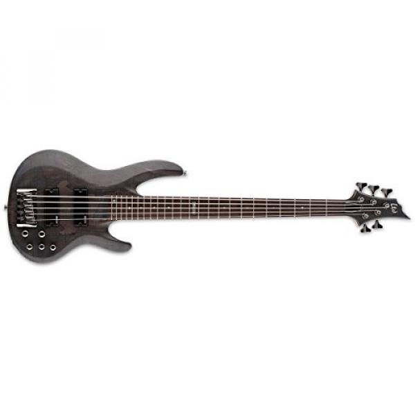 ESP LB205SMSTBLKS 5-String Bass Guitar, Black Satin #1 image