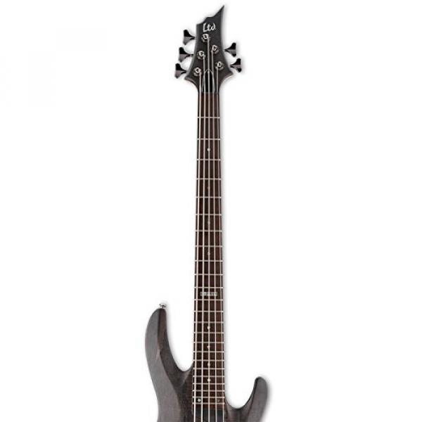 ESP LB205SMSTBLKS 5-String Bass Guitar, Black Satin #3 image