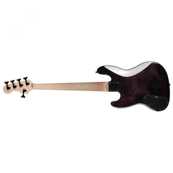 Spector CODA5PROBKS Bass Guitar in Black Stain Gloss #2 image