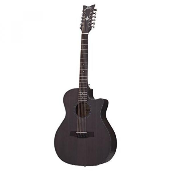 Schecter 3714 12-String Acoustic-Electric Guitar, Satin See-Thru Black #1 image