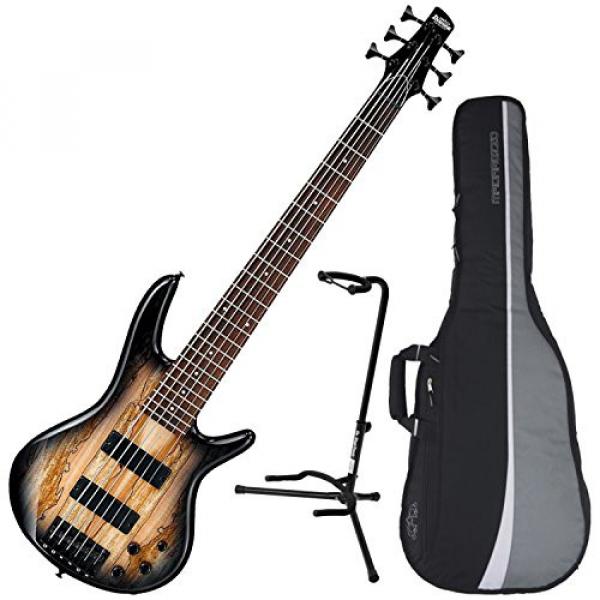 Ibanez GSR206SM 6-String Electric Bass (Natural Grey Burst) w/ Spalted Maple Top w/ Gig Bag and Stand #1 image