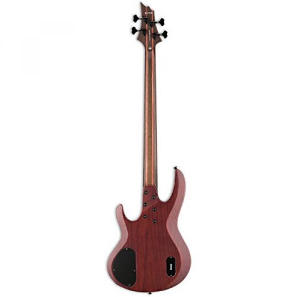 ESP LB1004SEMSRNS-KIT-2 B Series B-1004SE Multi-Scale 4-String Electric Bass Guitar, Natural Satin #5 image