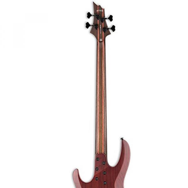 ESP LB1004SEMSRNS-KIT-2 B Series B-1004SE Multi-Scale 4-String Electric Bass Guitar, Natural Satin #7 image