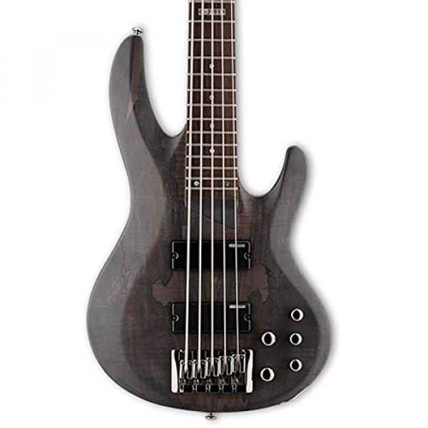 ESP LB205SMSTBLKS-KIT-1 B Series B-205SM 5-String Electric Bass Guitar, See Thru Black Satin #3 image