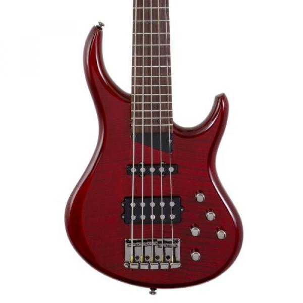 MTD Kingston &quot;The Heir&quot; Bass Guitar (5 String, Rosewood, Transparent Cherry) #2 image