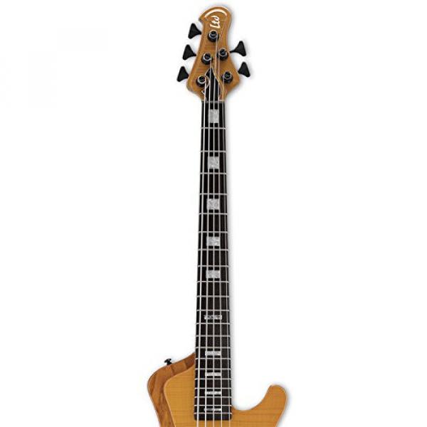 ESP LSTREAM1005FMHN Stream Series 5-String Solid Flamed Maple Top Electric Bass, Honey Natural #4 image
