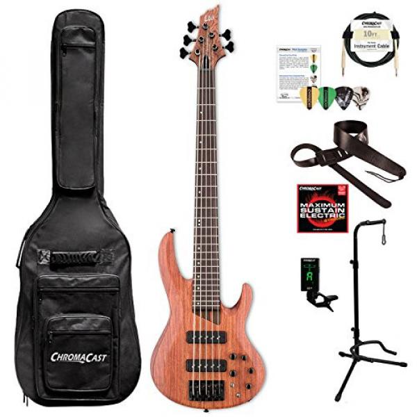 ESP LB1005SEBNS-KIT-1 B Series B-1005SE 5-String Electric Bass Guitar, Natural Satin #1 image