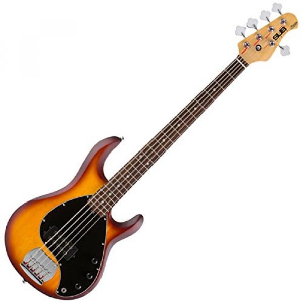 Sterling by Music Man RAY5-HBS/R 5 String Electric Bass Honeyburst Satin w/ Gig Bag and Stand #2 image