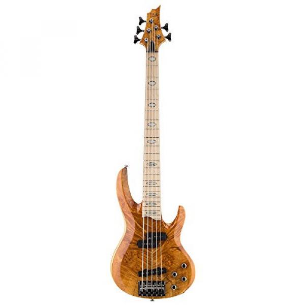 ESP RB-1005BMHN Burled Maple 5 String Bass #1 image
