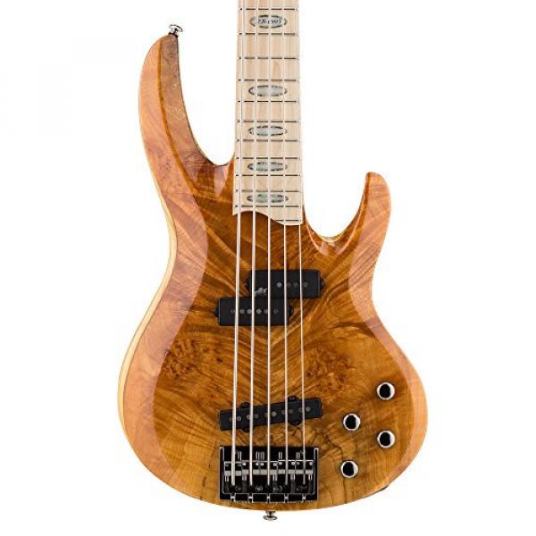 ESP RB-1005BMHN Burled Maple 5 String Bass #3 image