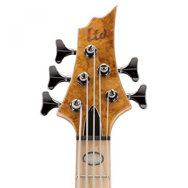 ESP RB-1005BMHN Burled Maple 5 String Bass #4 image