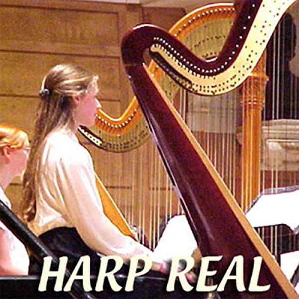 HARP PLATINUM Collection - HUGE 24bit Multi-Layer Samples Sound Library and Production tools 4,47GB on DVD #1 image