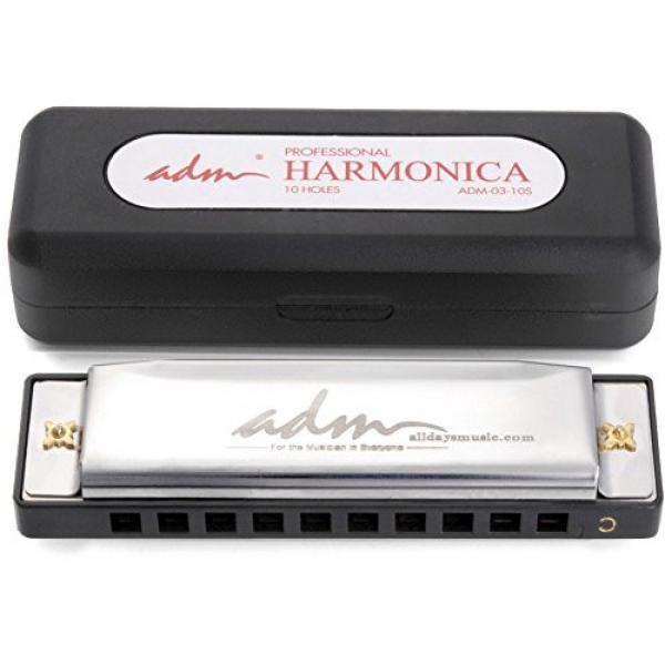 ADM 10 Hole 20 Tones Harmonica Key of C Blues,Mini Harmonica for Beginners, Silver #1 image