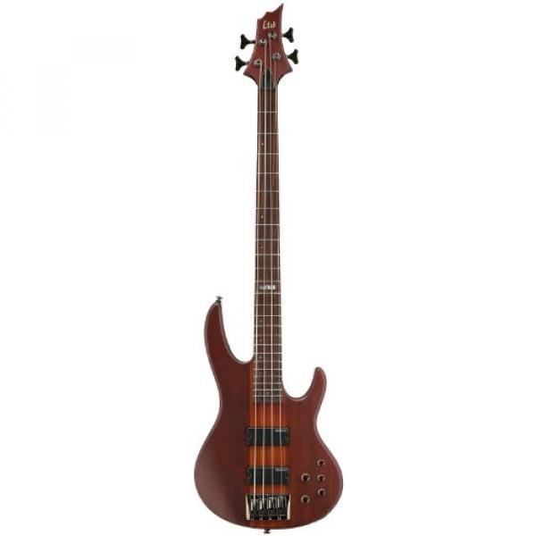 ESP D-4-NS-KIT-2 Natural Satin 4-String Electric Bass with Accessories and Hard Case #2 image