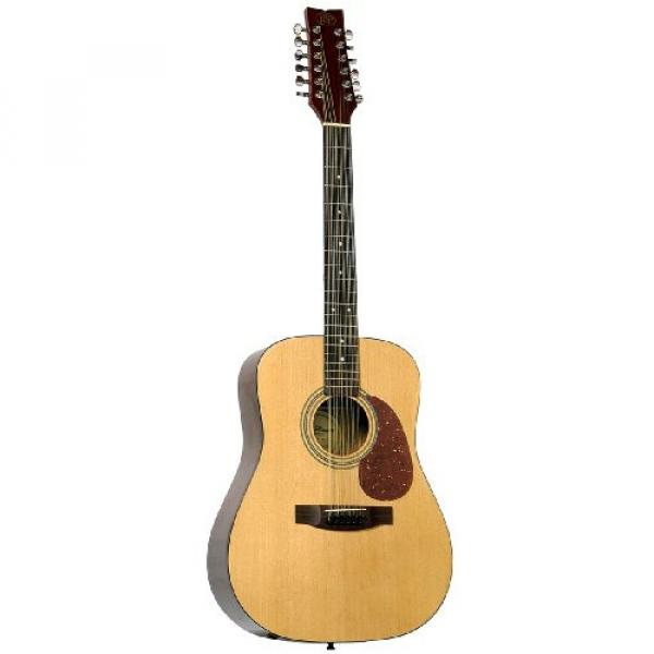 JB Player JB20-12 12 String Acoustic Guitar #1 image