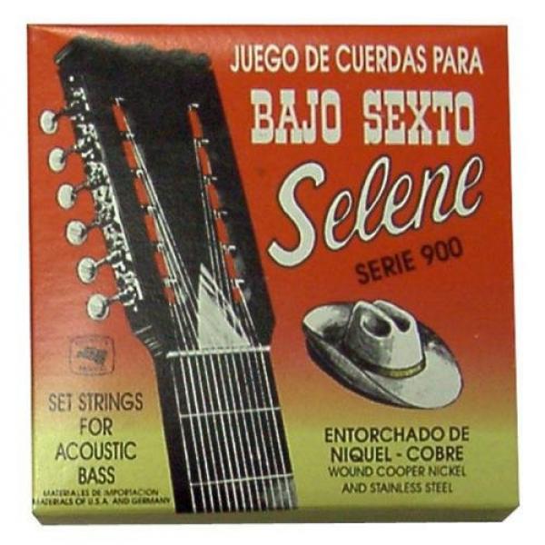 Paracho Elite BS950BR Bronze Bajo Sexto 12 String Set #1 image