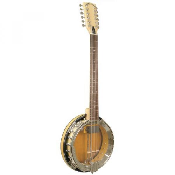 Gold Tone GT-1200 Banjitar Banjo (Twelve String, Rosewood) #1 image