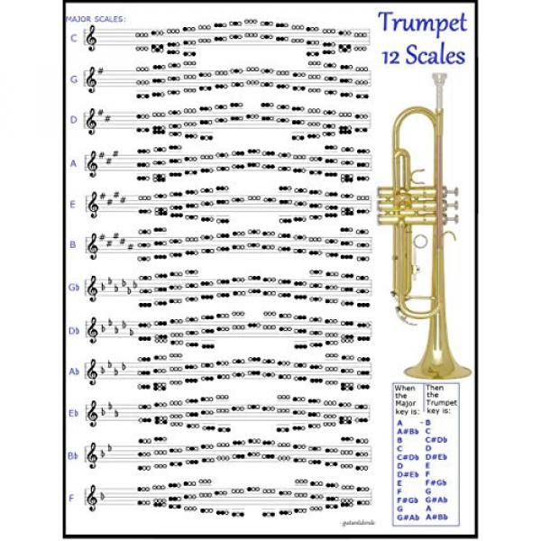 TRUMPET 12 SCALES CHART #1 image