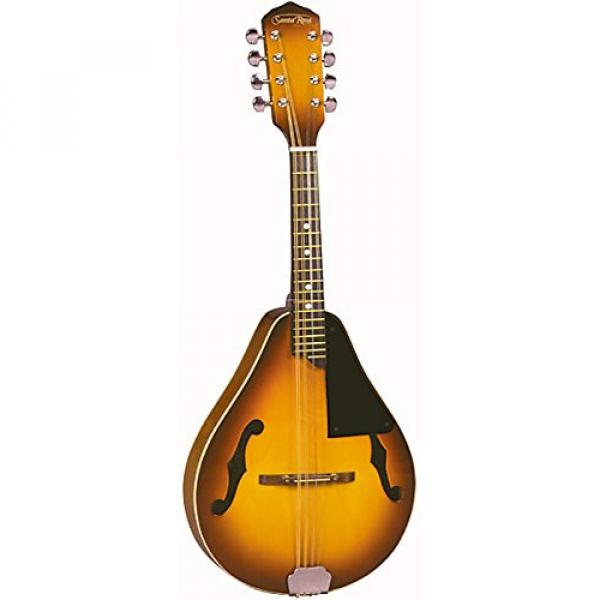 Santa Rosa MAND22 Mandolin Deep Arch Top Body Teardrop Shaped A Style, Honey Sunburst #1 image