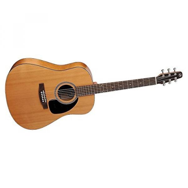 Seagull Acoustic Solid Cedar Top S6 Dreadnought Size #029396 w/Hard Case &amp; More #2 image